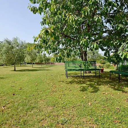 Karolina - Oasis With Free Parking プーラ